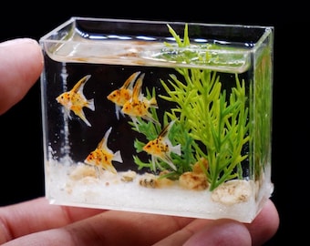 Miniature replica angel fish in the tank, miniature aquarium, dollhouse fishtank, cichlid fish
