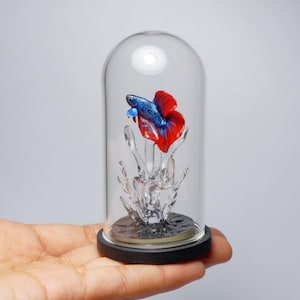Polymer Clay Betta Fish Replica in Glass Dome