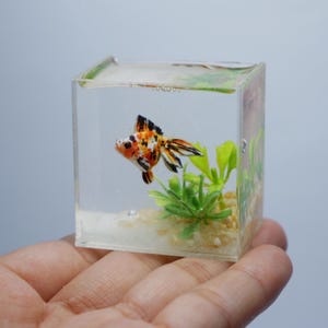 Miniature clay goldfish in the tank