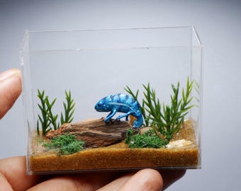 Miniature clay chameleon in terrarium