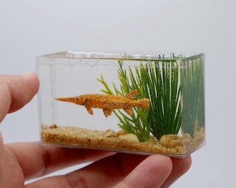 Miniature replica alligator gar in the tank