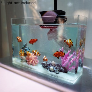 Könnte beinhalten: Ein rechteckiges Glasaquarium gefüllt mit Wasser, mit mehreren orange-weiß gestreiften Clownfischen und roten Fischen. Das Becken enthält bunte Korallen und eine Leuchte. Der Text "Light not included" ist sichtbar.