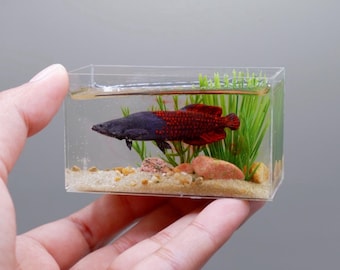 Réplica en miniatura de arapaima con gema de unakita en el tanque.