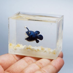 水槽の中の暗闇で光るミニチュアアンコウ