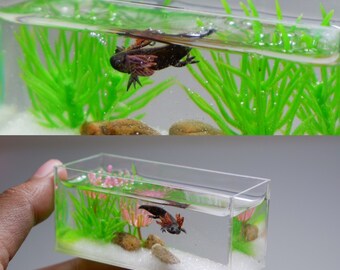 Axolotl Tank Etsy Axolotl Tank Etsy