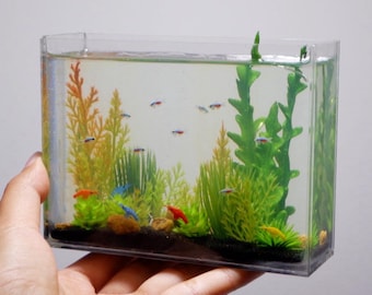 Réplica de tetra neón y camarones en el tanque.