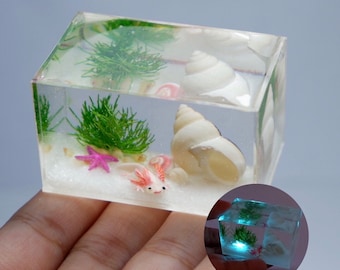Miniature clay axolotl with shell house and glow in the dark starfish in the tank