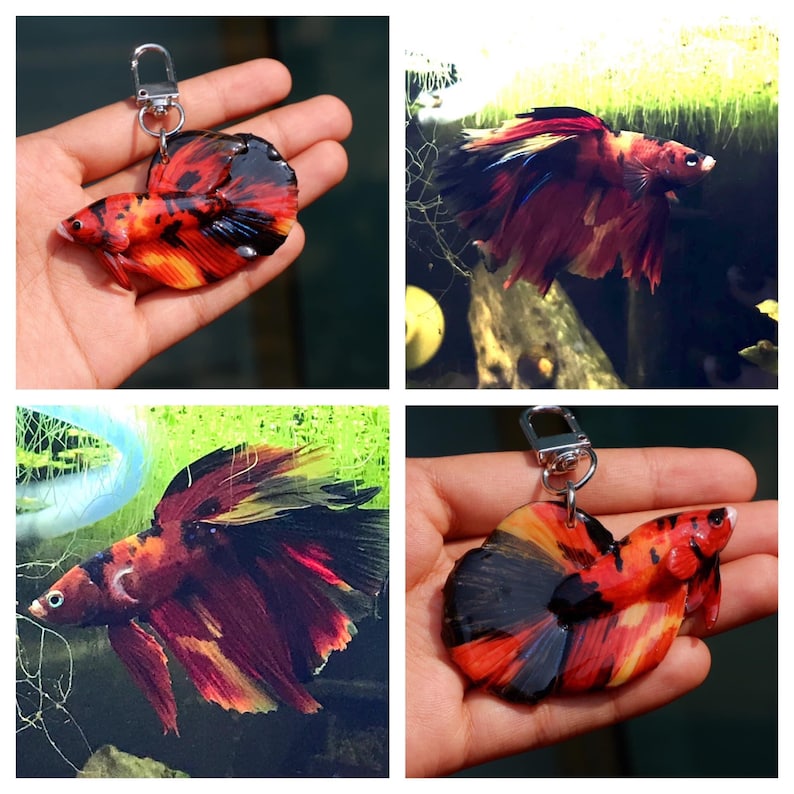May include: A colorful betta fish keychain with red, orange, and black scales. The fish is in a swimming position with its fins spread out. The keychain is made of resin and is a great gift for fish lovers.