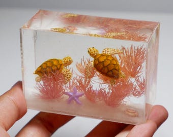 Miniature sea turtles in the tank