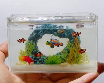 Acuario marino en miniatura