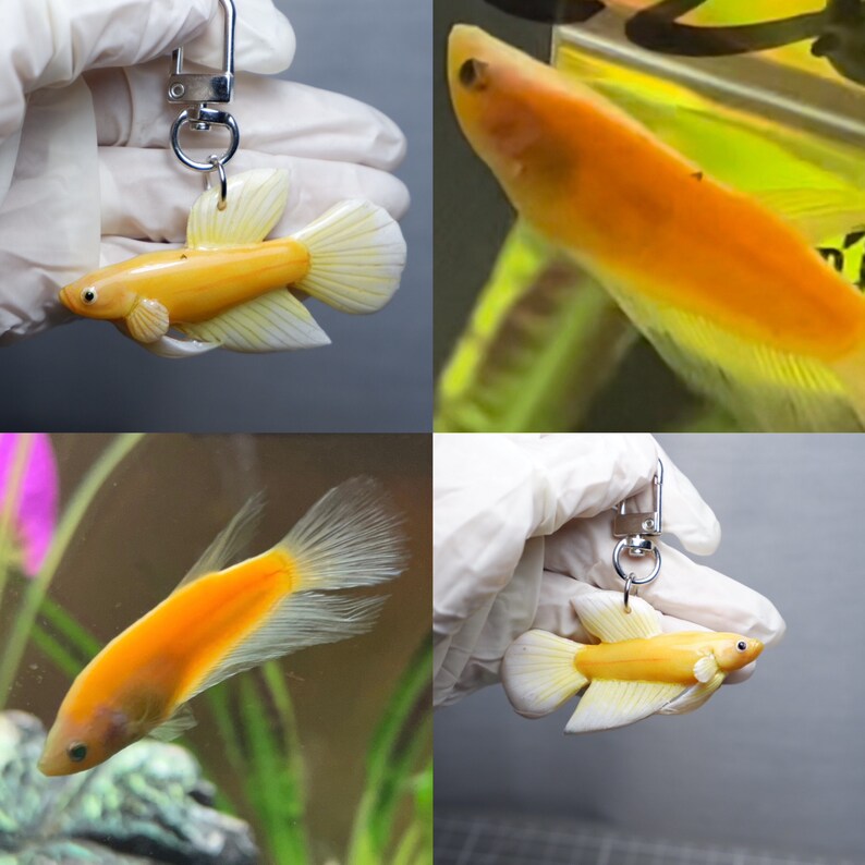 May include: A yellow and white betta fish keychain. The fish is made of resin and has a realistic appearance. The keychain is attached to a silver metal ring.