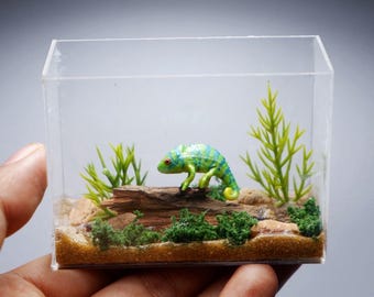 Miniature clay chameleon in terrarium