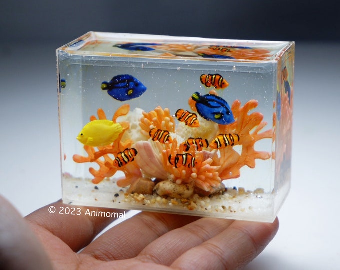 Miniature Marine Fish Tank Etsy