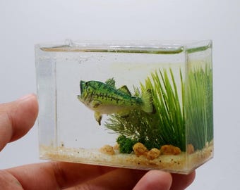 Miniature clay largemouth bass tank