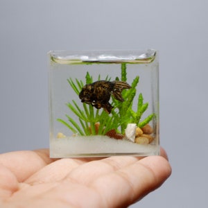 Miniature clay goldfish in the tank