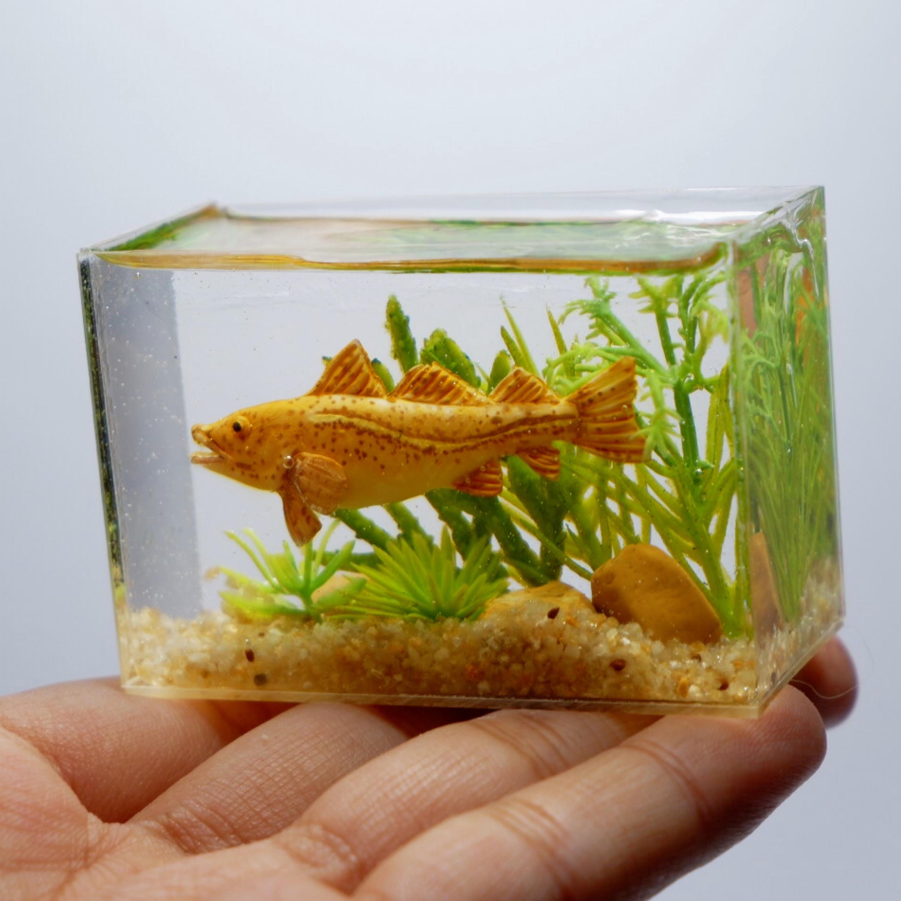 Miniature Clay Atlantic Cod Fish in the Tank - Etsy