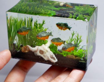 Miniature piranhas with skull in the tank