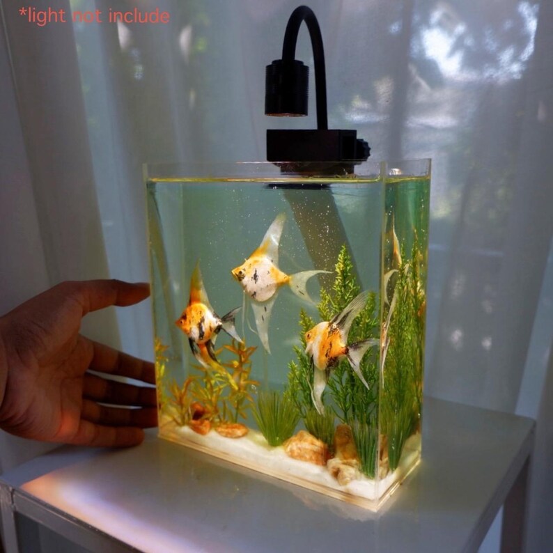 Large Size Replica Angelfish Tank, Aquarium , Freshwater Fish ...