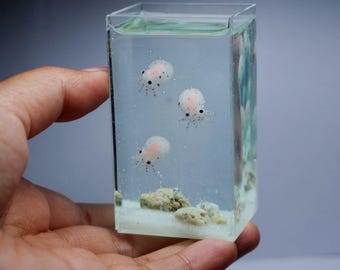 Pulpo bebé en miniatura en el tanque.
