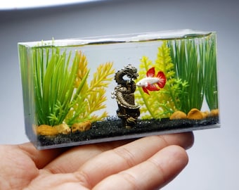 Betta en miniatura con escamas de dragón y estatua de dragón de latón en el tanque.