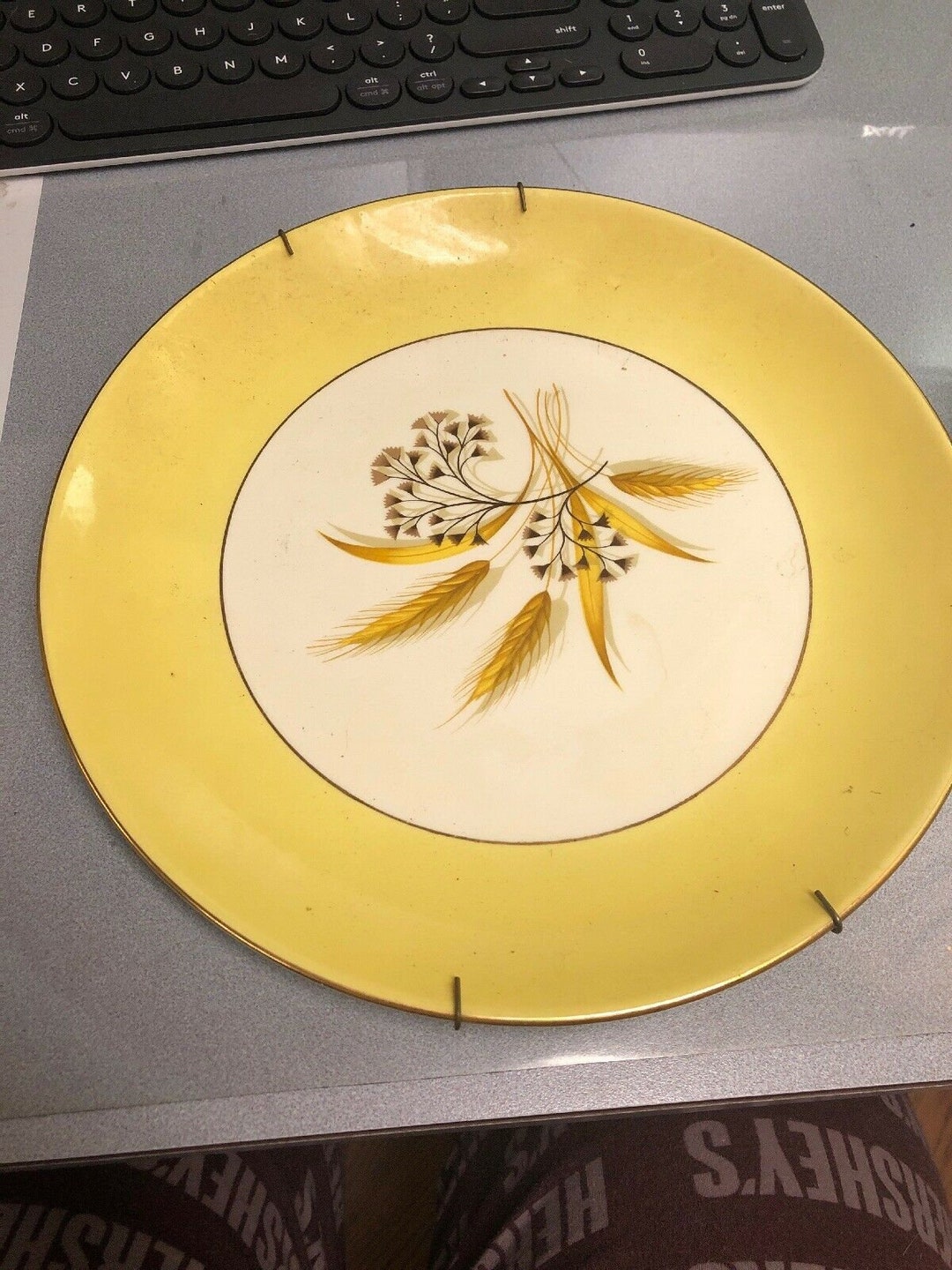 Antique Autumn Gold Dinner Plate Set of 3 With Plate Hangers Etsy