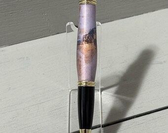 The Sea Turtle Hatchling - A Wall St. II Photo Pen
