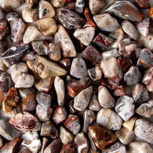 May include: A collection of agate stones in various shades of brown, white, and gray. The stones are smooth and polished, with intricate patterns of banding and swirls.