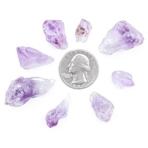 Rough/Raw Amethyst Gemstone Crystal Points with a Quarter for Size