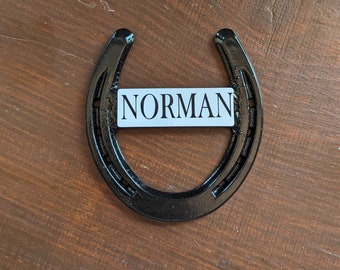 Horse Stall Name Plates