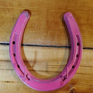 May include: A pink horseshoe with two hooks on the bottom. The horseshoe is made of metal and has a rustic finish.