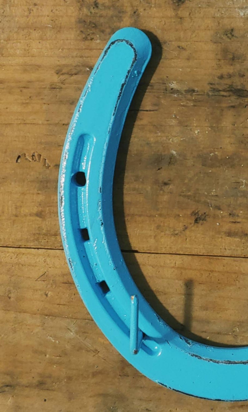 May include: A blue horseshoe with two hooks attached to the bottom. The horseshoe is painted a light blue color and has a distressed finish.