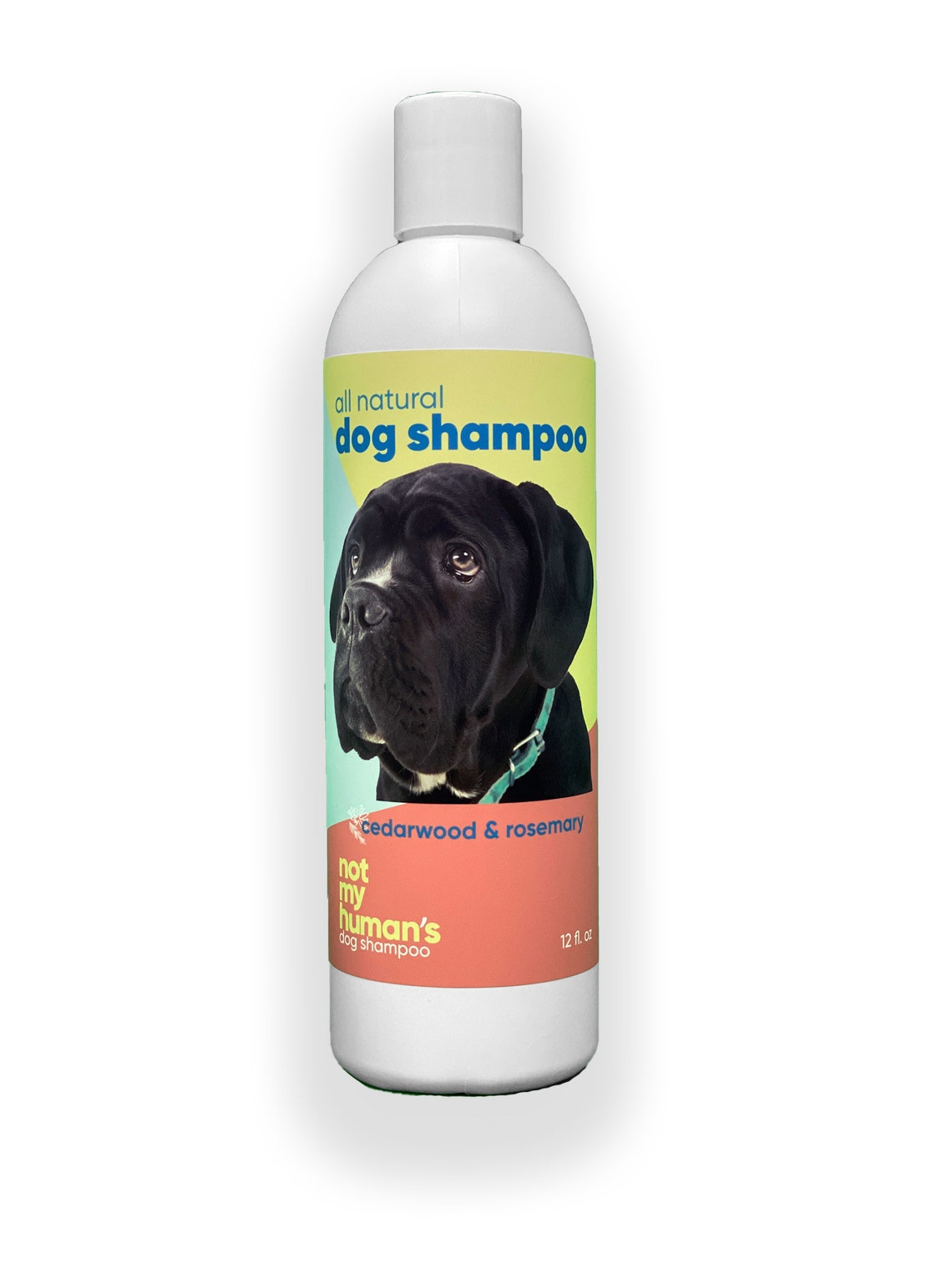 All Natural Dog Shampoo in Rosemary & Cedarwood by Not My Etsy