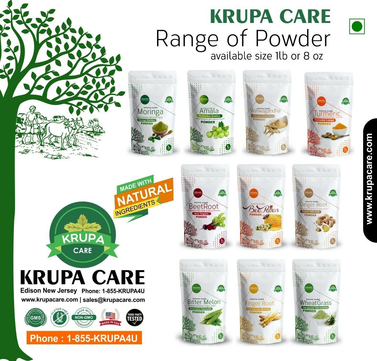 Finger Root Powder Boesenbergia Rotunda Healthy Tea Superfood - Etsy