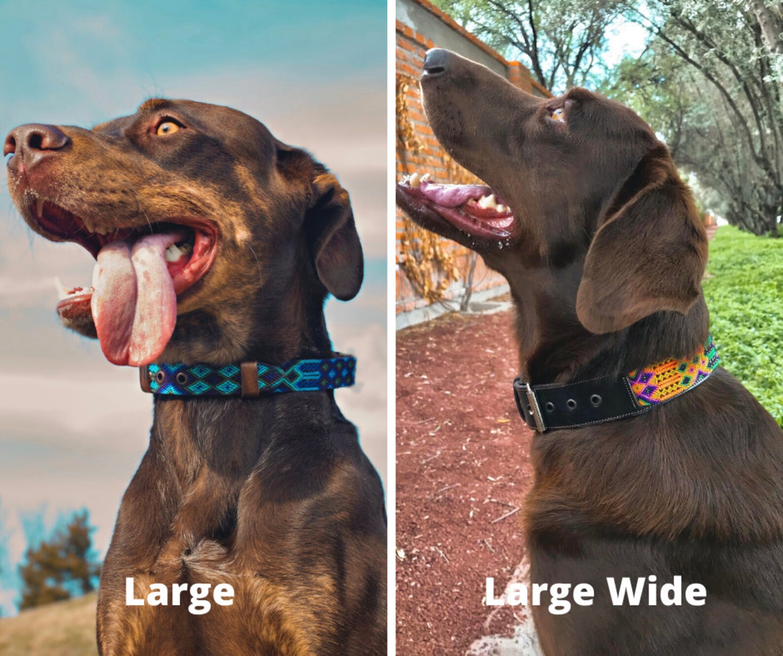 Large Dog Collars Handmade Dog Collars Mexican Dog Collars Etsy