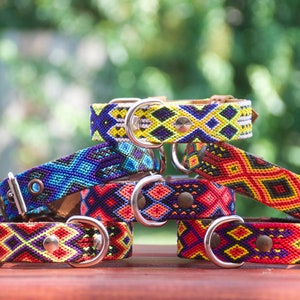 Small Handmade Woven Leather Dog Collar, Mexican Artisan Pet Collar