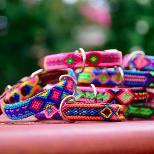 Extra Small Handmade Leather Cat Collar I Mexican Woven Dog Collar for Mini Breeds