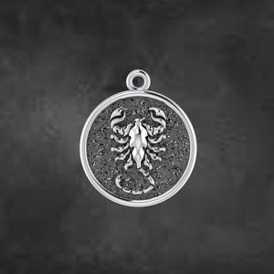 Double-sided Lion Charm Antiqued Sterling Silver Double-sided Lion Charm Antiqued Sterling Silver