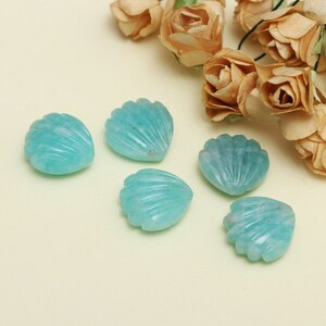 May include: Five turquoise seashell-shaped gemstones with carved details. The gemstones are arranged on a light yellow surface, with dried flowers in the background. The shells have a ribbed texture and a polished finish.