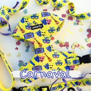Lion Dog Harness Custom Dog Harness with Name Personalized Dog Vest Adjustable Dog Harness