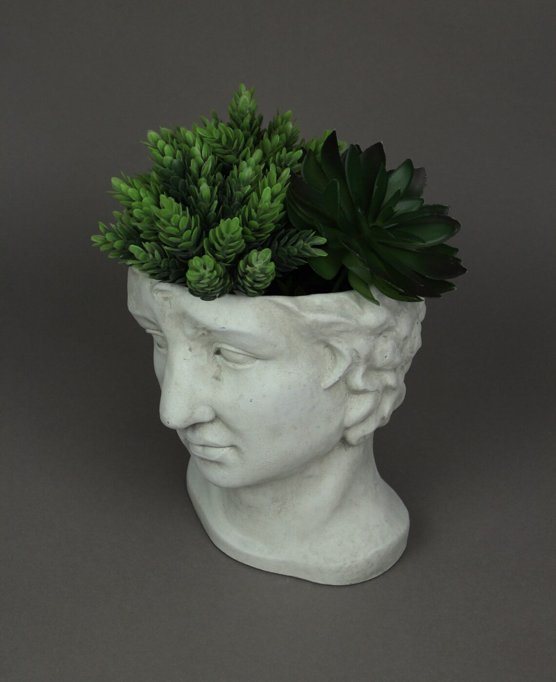 Resin Classic Greek Statue Head Planter Decorative Bust Flower Etsy