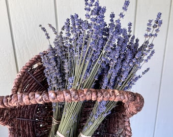 Dried English Lavender Bundle: Culinary Herb, Home Decor