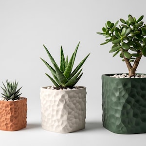 Könnte beinhalten: Drei quadratische Pflanzgefäße mit einer strukturierten, gehämmerten Oberfläche. Das kleinste ist terrakottafarben mit einer Sukkulente, das mittlere ist cremeweiß mit einer Aloe-Pflanze und das größte ist dunkelgrün mit einem Pfennigbaum.