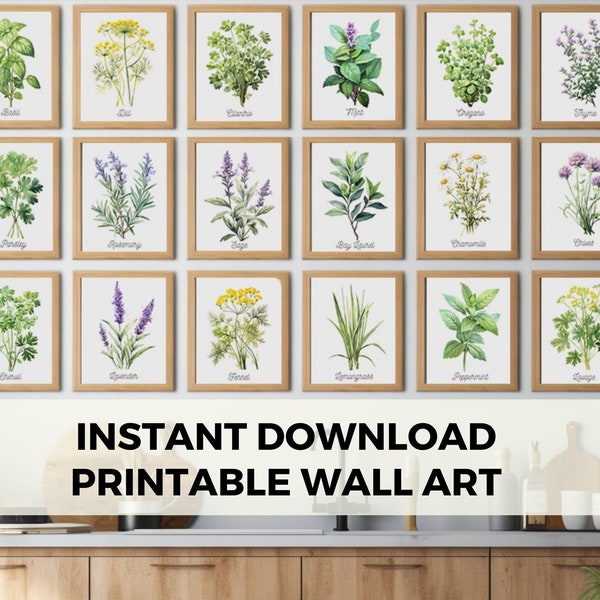 Set of 20 Herb Prints - Kitchen Herb Printable Wall Art, Botanical Print Set, Watercolor Herbs, Digital Download, Kitchen Wall Decor