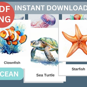 Montessori Printable Flashcards, Ocean Animals Cards, Sea Animal Flashcards for Kids, Montessori Materials, Digital Flashcards