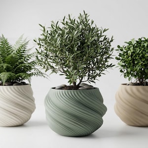 May include: Three potted plants with green foliage. The pots are a light color with a spiral design. The plants include a fern, a small tree, and a bush. The pots are filled with soil and small stones.