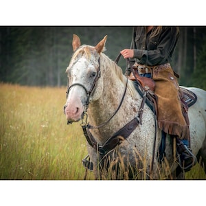 Cowgirl Print | Western Wall Art | Cowgirl with Horse Photograph | Photo Print or Canvas Print | Country & Farmhouse Wall Art | Horse Art