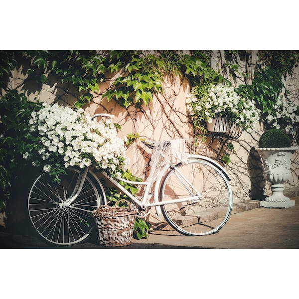 White Vintage Bicycle with Basket of Flowers Leaning Against Wall with Leafy Green Vines Photo Print or Canvas Wall Art Italian Garden Decor