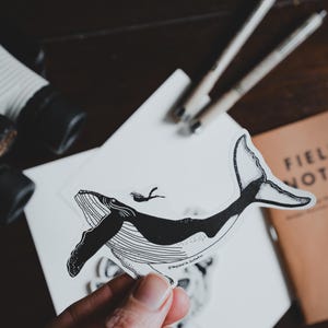 fine ligne de plongée libre avec une baleine à bosse | Art océan noir et blanc | Cadeau nature île de Vancouver