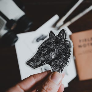 Fine ligne tête de loup côtier | Art animalier en noir et blanc | Cadeau nature île de Vancouver