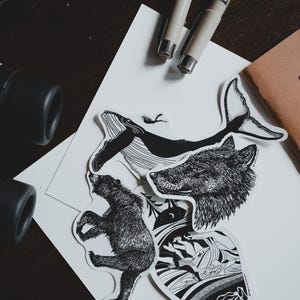 Pack d'autocollants animaux sauvages de l'île de Vancouver | Stickers trait fin noir et blanc | Pack d'autocollants artistiques nature